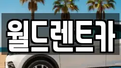 월드렌트카