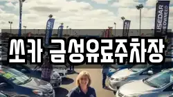 쏘카 금성유료주차장