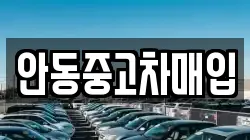 안동중고차매입