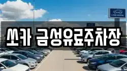 쏘카 금성유료주차장