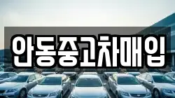 안동중고차매입