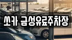 경북 안동시 운흥동 렌트카,단기렌트카,장기렌트카,중고차,중고차매매,중고차매입
