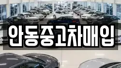 안동중고차매입