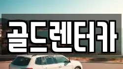 골드렌터카