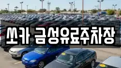 쏘카 금성유료주차장