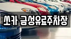 쏘카 금성유료주차장