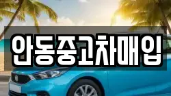 안동중고차매입