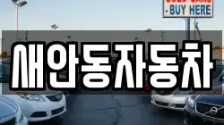 새안동자동차