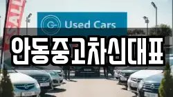 안동중고차신대표