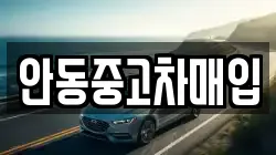 안동중고차매입