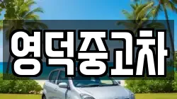영덕중고차