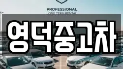 경북 영덕군 지품면 렌트카,단기렌트카,장기렌트카,중고차,중고차매매,중고차매입