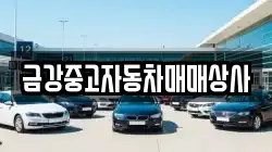 금강중고자동차매매상사