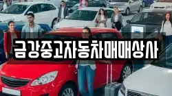 금강중고자동차매매상사