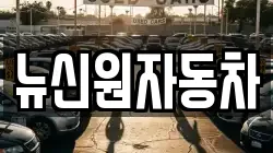 뉴신원자동차