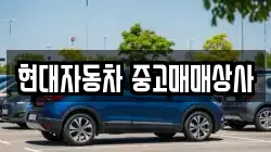 현대자동차 중고매매상사