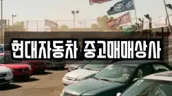 현대자동차 중고매매상사