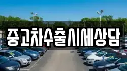 중고차수출시세상담