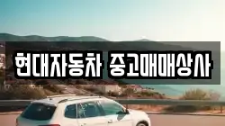 현대자동차 중고매매상사