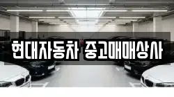 현대자동차 중고매매상사