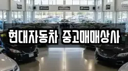 현대자동차 중고매매상사