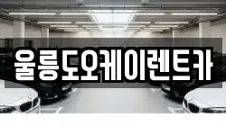 울릉도오케이렌트카
