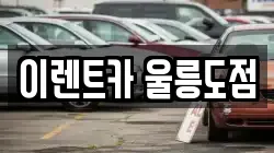 이렌트카 울릉도점