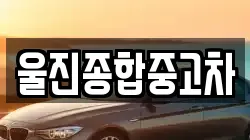 울진종합중고차