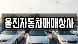 울진자동차매매상사