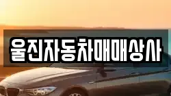 울진자동차매매상사