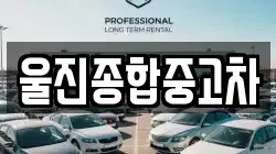 울진종합중고차