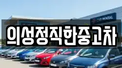 의성정직한중고차