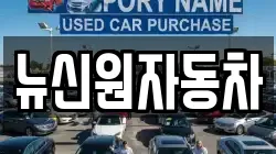 뉴신원자동차