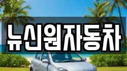 뉴신원자동차