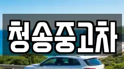 청송중고차