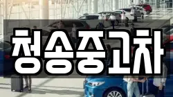 청송중고차