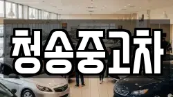 청송중고차