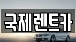국제렌트카