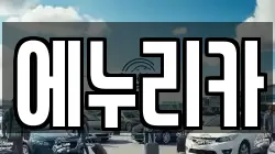 에누리카