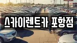 경북 포항시 남구 괴동동 렌트카,단기렌트카,장기렌트카,중고차,중고차매매,중고차매입