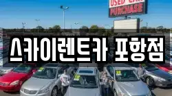 스카이렌트카 포항점
