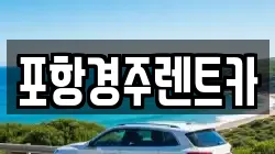 경북 포항시 남구 지곡동 렌트카,단기렌트카,장기렌트카,중고차,중고차매매,중고차매입