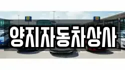 양지자동차상사
