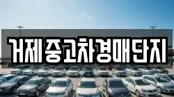 거제중고차경매단지