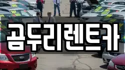 곰두리렌트카
