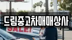 드림중고차매매상사