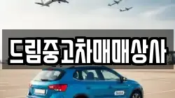 드림중고차매매상사