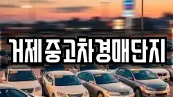 거제중고차경매단지