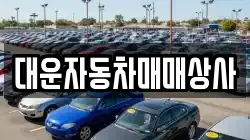 대운자동차매매상사