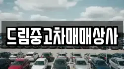 드림중고차매매상사